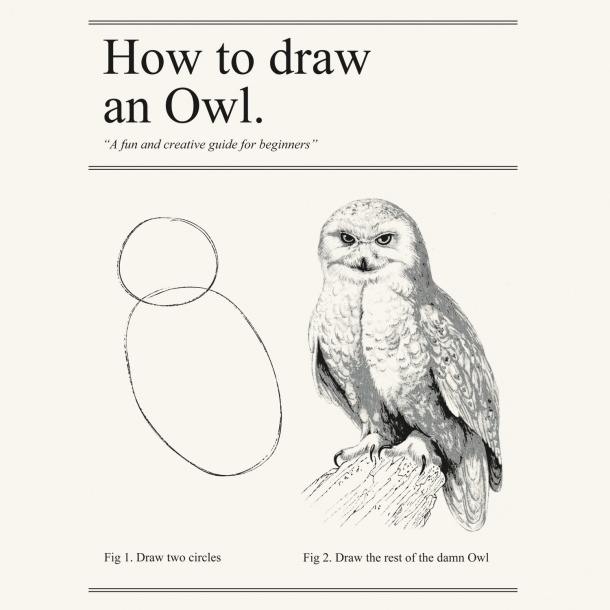 How to draw an owl